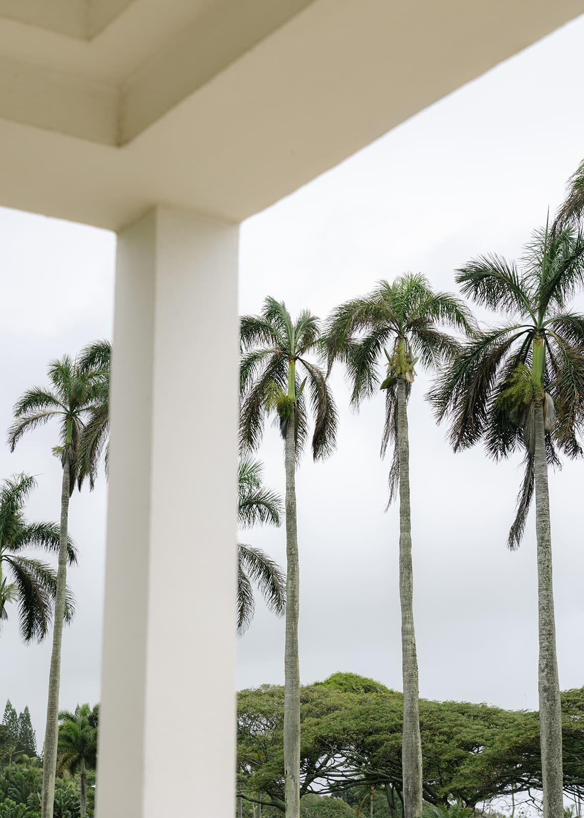 Laie Hawaii Temple