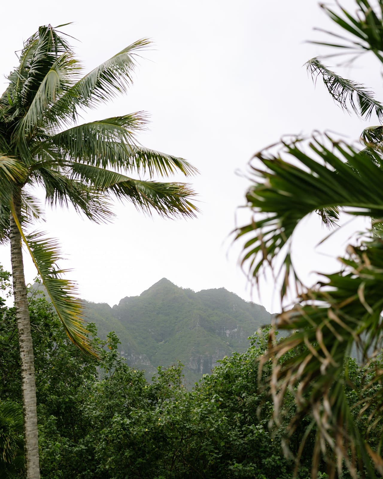 Ka'a'awa Beach